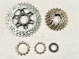 Shimano Kassette CS-HG81-10 / 10fach / 11-34 Zähne / 2604