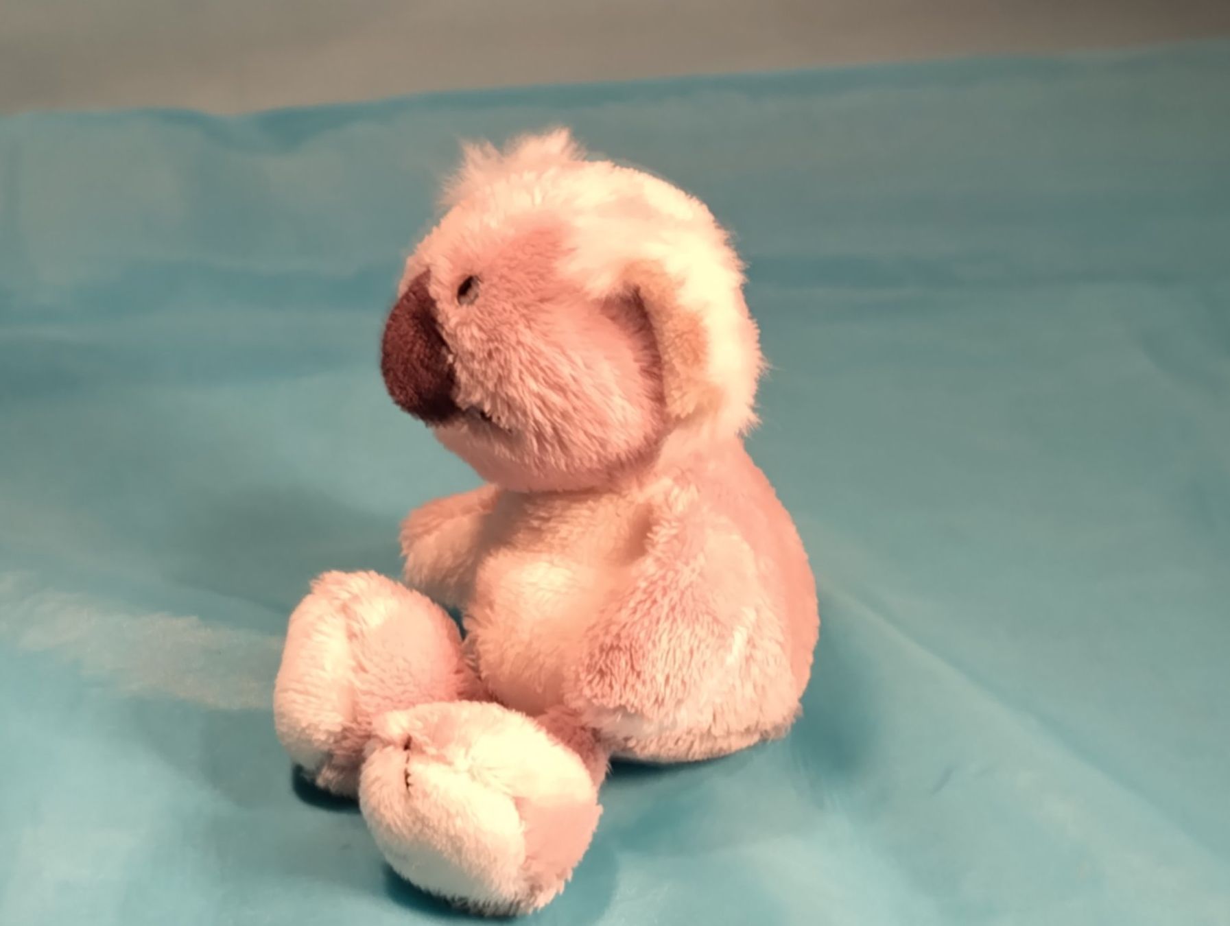 Nici Spielzeuge: NICI Koala, 15cm – Gebraucht aus Bellach von JingleCherry 2