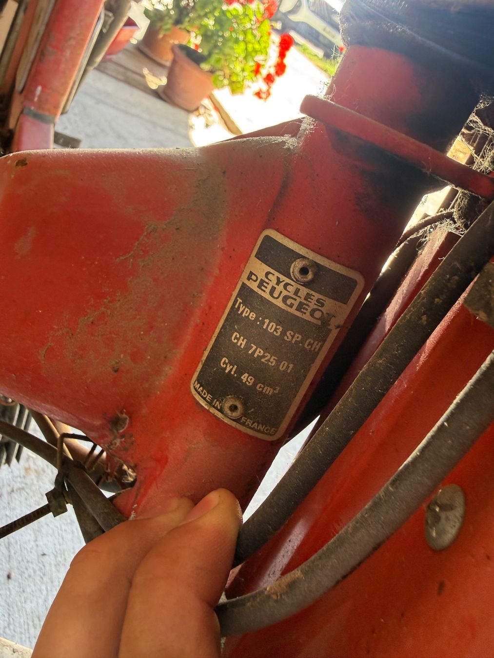 Peugeot Ciclomotori: Peugeot 103 SP Töffli – Difettoso da Fahrni b. Thun venduto da Schneiderlein55 4