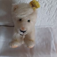 Sammlerstück Steiff Eisbärchen komplett 12 cm gross