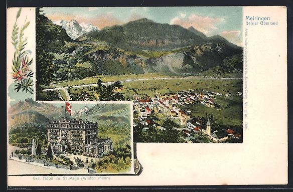 Cartes postales: Meiringen, Ortsansicht aus der Vogelscha – D'occasion à Berlin par bartko-reher