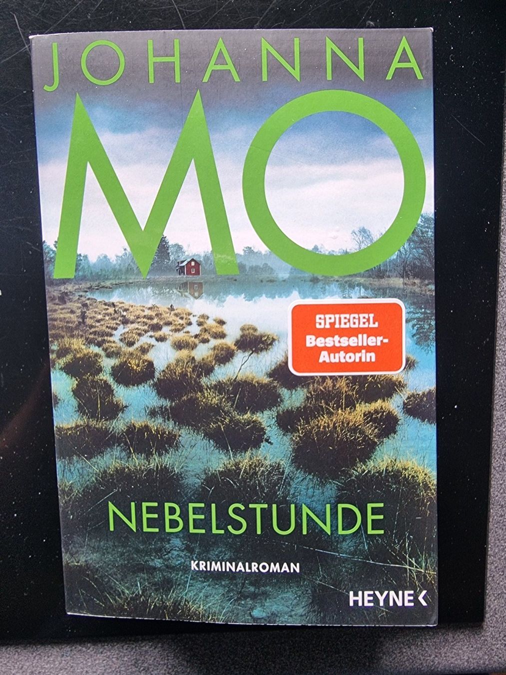 Libri: Johanna Mo        Nebelstunde – Nuovo (secondo la descrizione) da Arosa venduto da horseracing