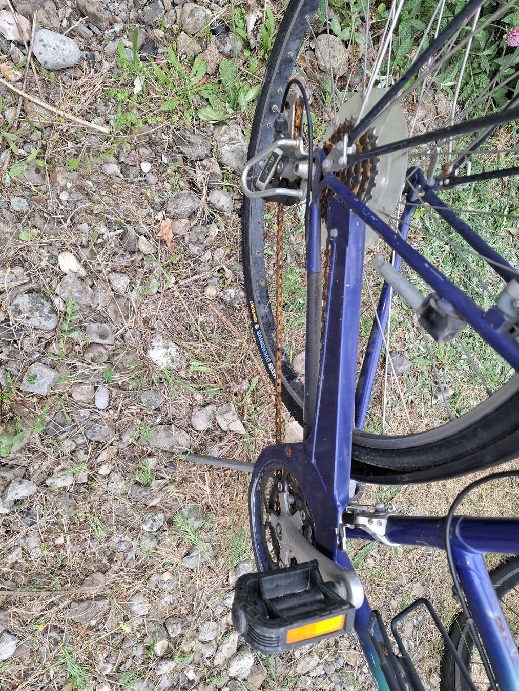 Biciclette: Grassi Allegro 28" Zoll,Schnäppchen! – Usato da Nussbaumen AG venduto da bio_vd8q 4