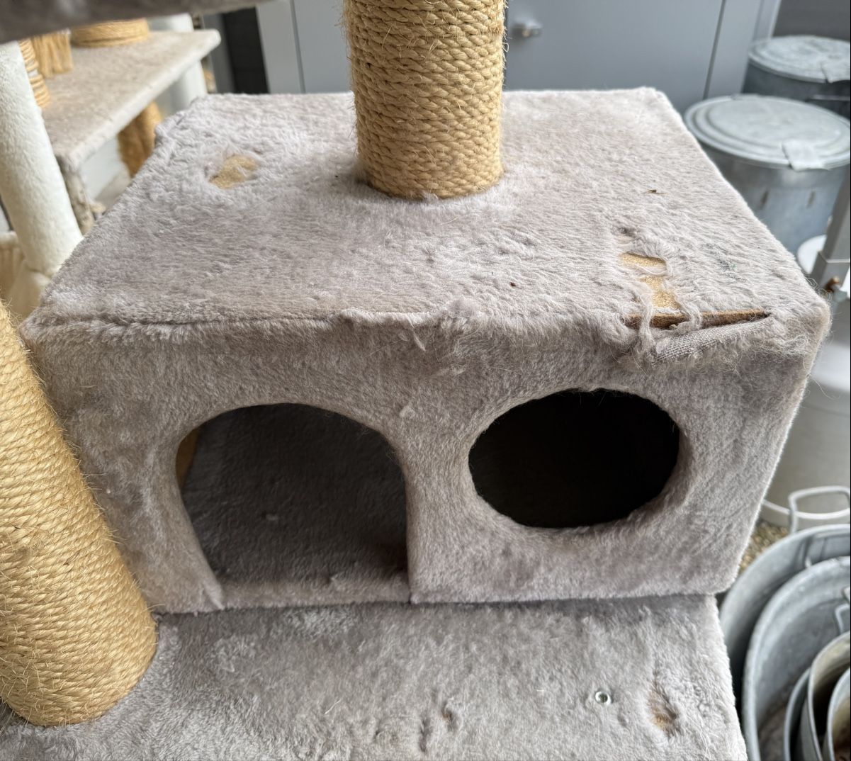 Katzenbaum - Kratzbaum: Katzenbaum Kratzbaum – Gebraucht aus Gerlafingen von HungerDiva 1