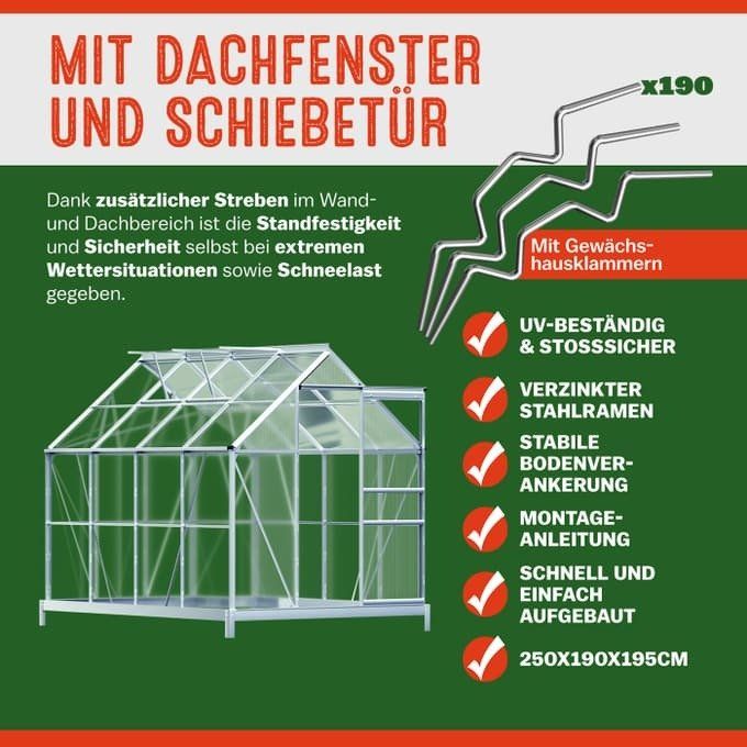 Treibhaus - 250x190x195cm mit Fundament 5