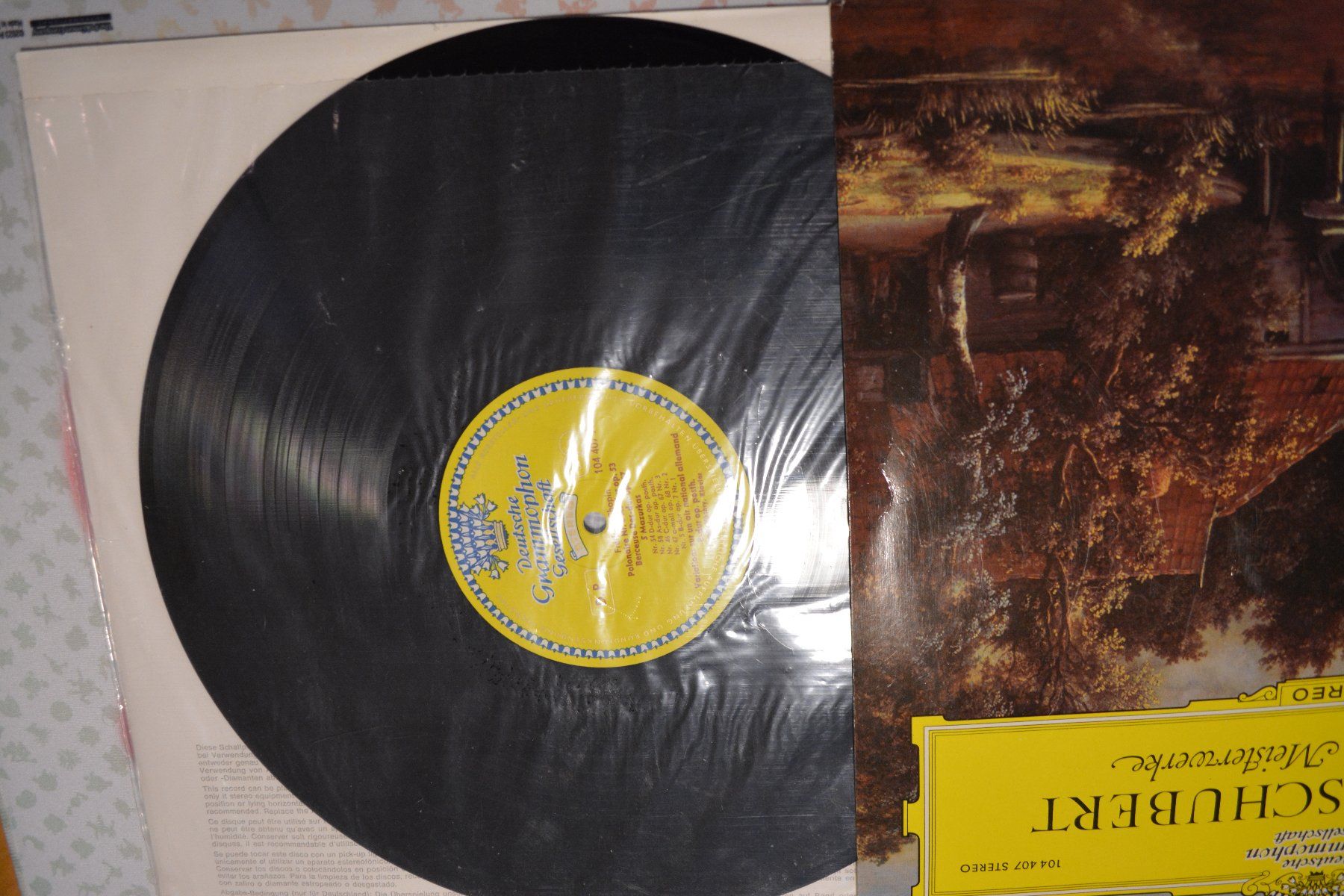 Dischi in vinile: Schallplatte - Chopin Schubert – Usato da Altstätten SG venduto da GGsGameshop 1