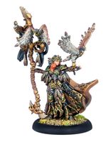 Warmachine Hordes Orboros Uma The Falconer
