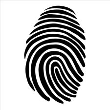 Profile image of SandroWeb