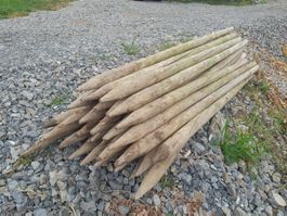 Holzpfähle