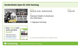 4 Tickets Genderbuebu Konzert Samstag 08.08.26