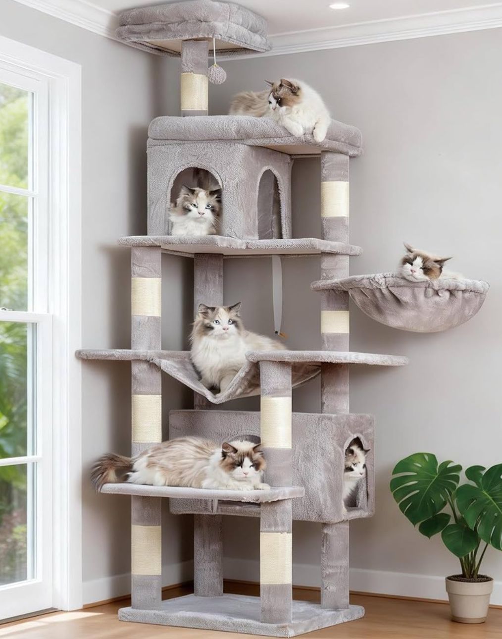 Tiragraffi: Katzenbaum 178 cm hellgrau,  rauchgrau oder beige – Nuovo e nell'imballaggio originale da Winterthur venduto da SwissPrime