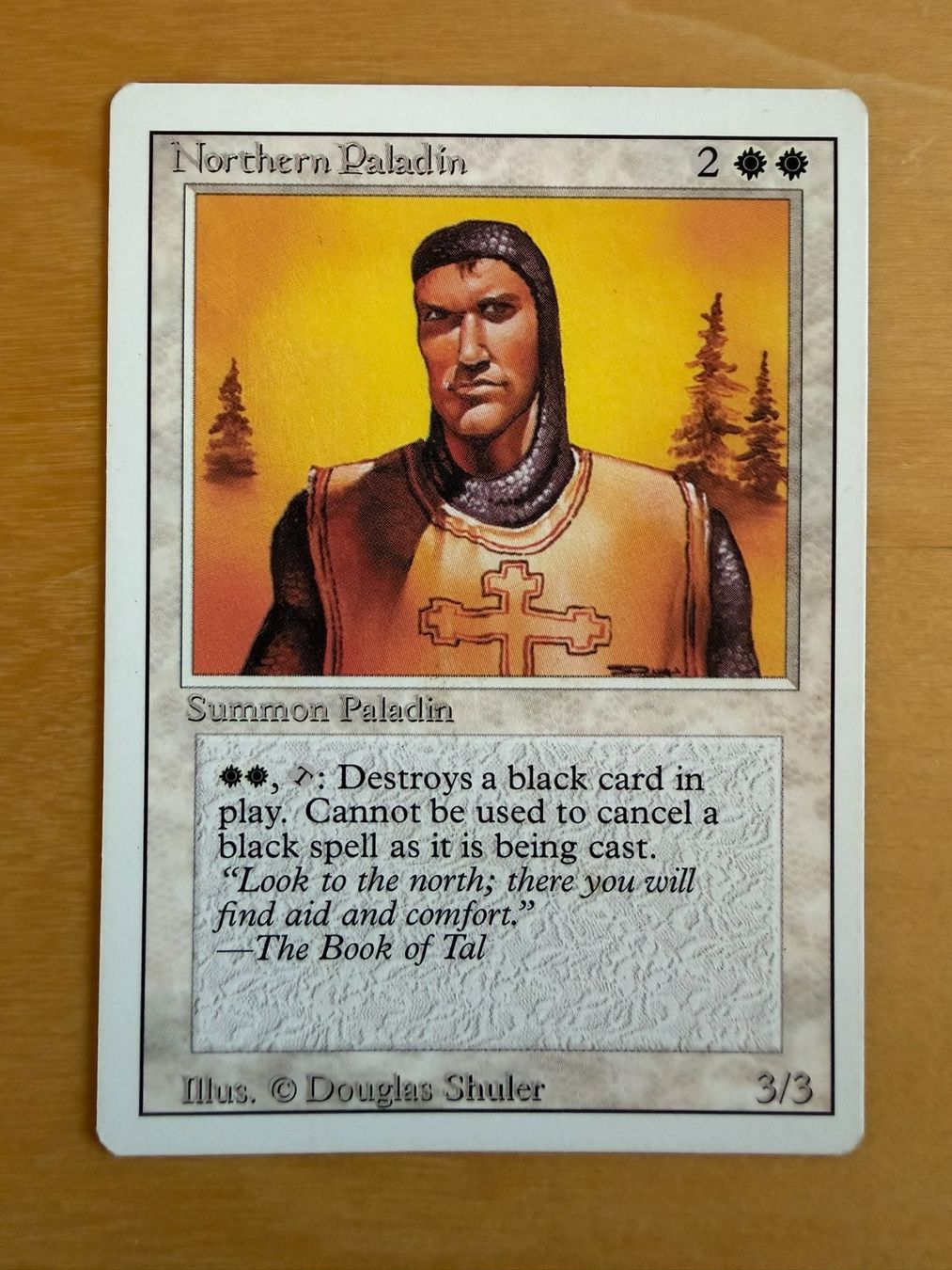 Magic The Gathering Sammelbilder & Trading cards: Northern Paladin // Revised // Magic – Gebraucht aus Binz von Tempelritter