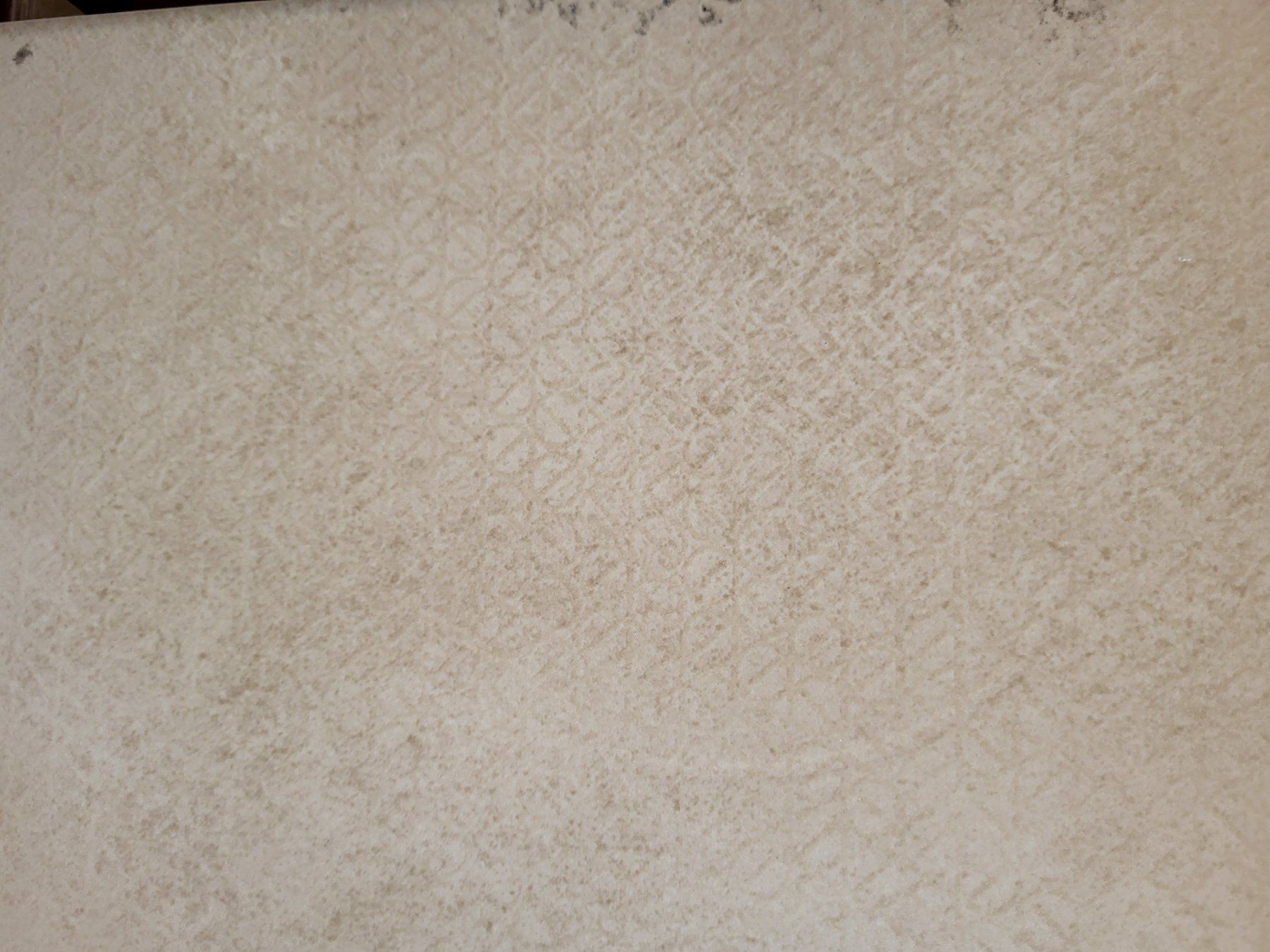 Rivestimenti per pavimenti: Bodenplatten Beige 50 x 50 /25m² /K2 – Nuovo e nell'imballaggio originale da Diessenhofen venduto da Osio 1