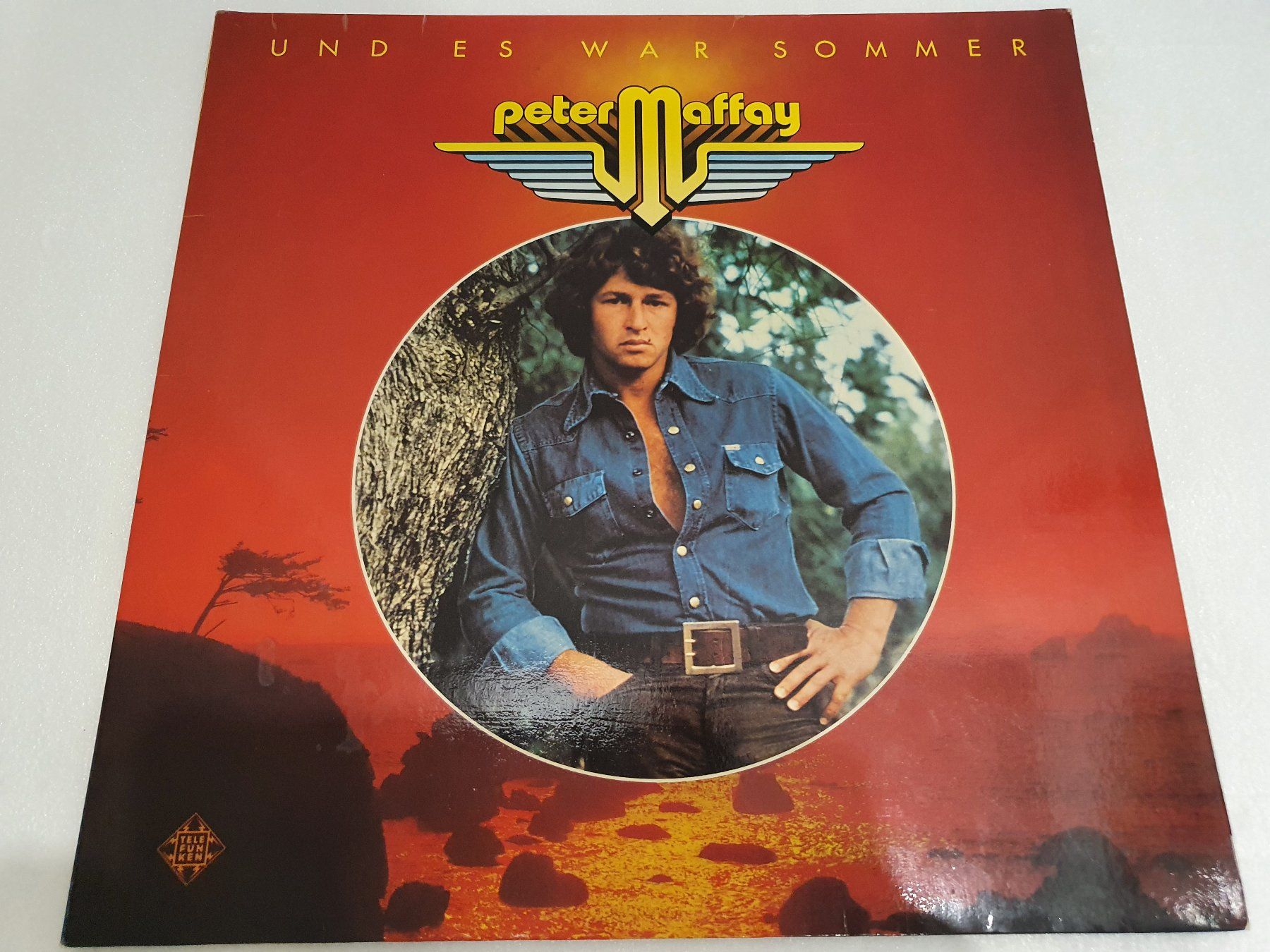 Dischi in vinile: Peter Maffay – Und Es War Sommer – Usato da Uster venduto da Vinyl-Leidenschaft