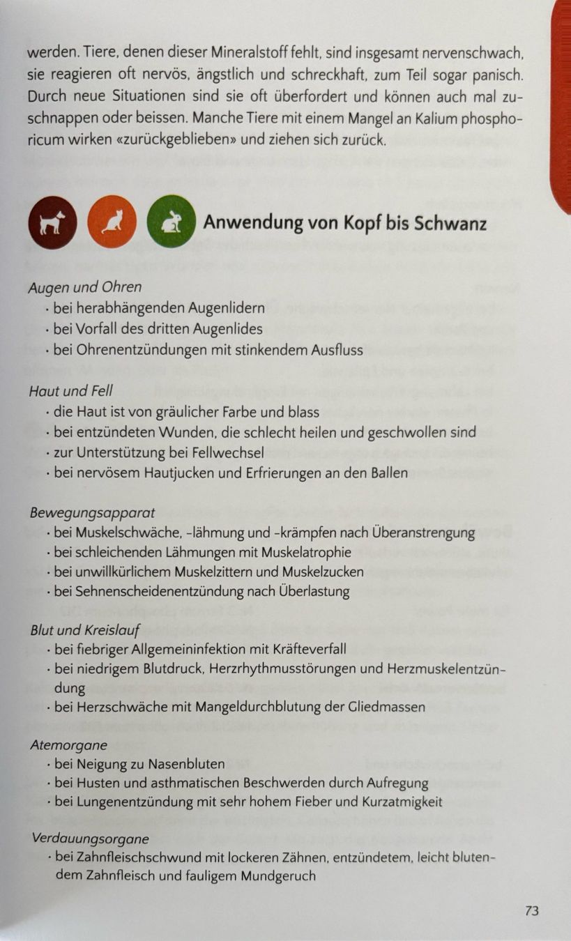 Bücher: Grafe Helga, Schüssler Salze ...... tierisch gut – Gebraucht aus Sarnen von Livres 9