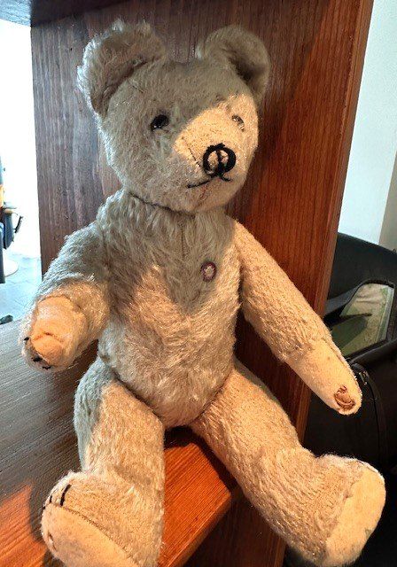 Jouets: aLteR TeDDy – D'occasion à Winkel par zeho 1