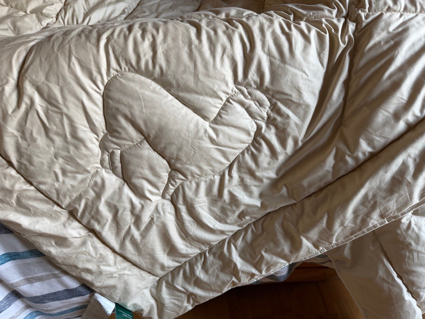 Coperte: Ganzjahresduvet Alpaka – Usato da Weisslingen venduto da mxbrunner 2