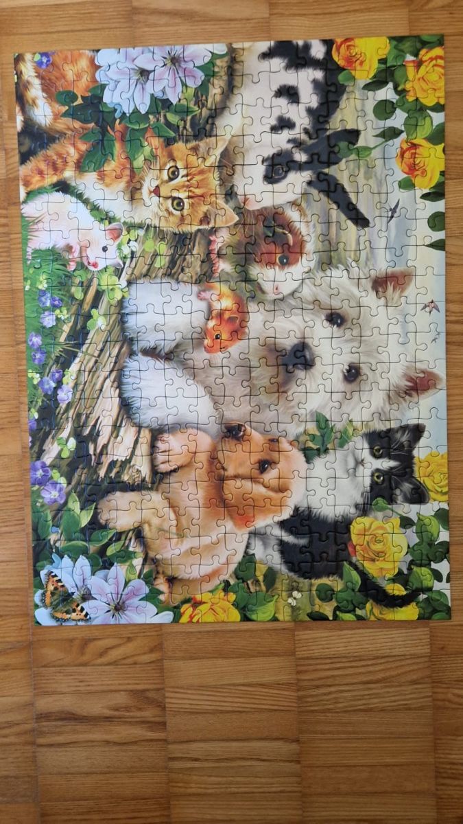 Ravensburger Puzzle: Ravensburger Puzzle – Usato da Waldstatt venduto da dundeeshadow 1