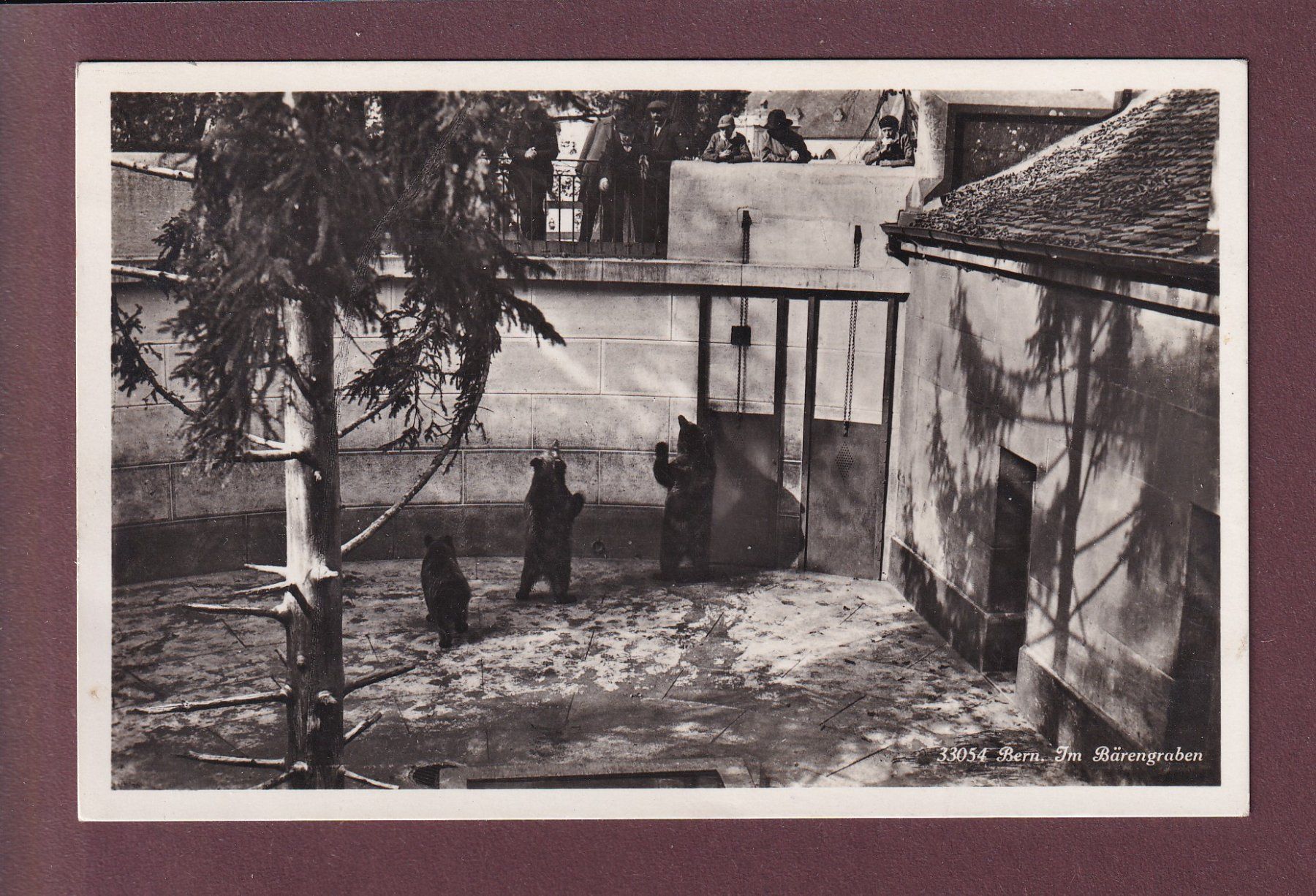 Ansichtskarten: BERN - Bärengraben - 1933 – Gebraucht aus Pully von nicecards