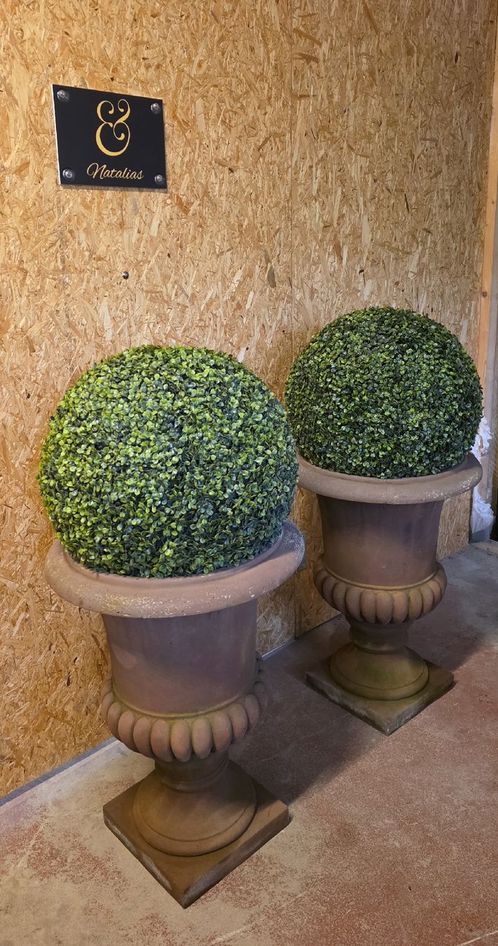 Vasi per fiori: 2 Medici Vasen, Garten Amphoren mit 2 Buchsbaumkugeln – Usato da Kaufdorf venduto da Nati-Nati