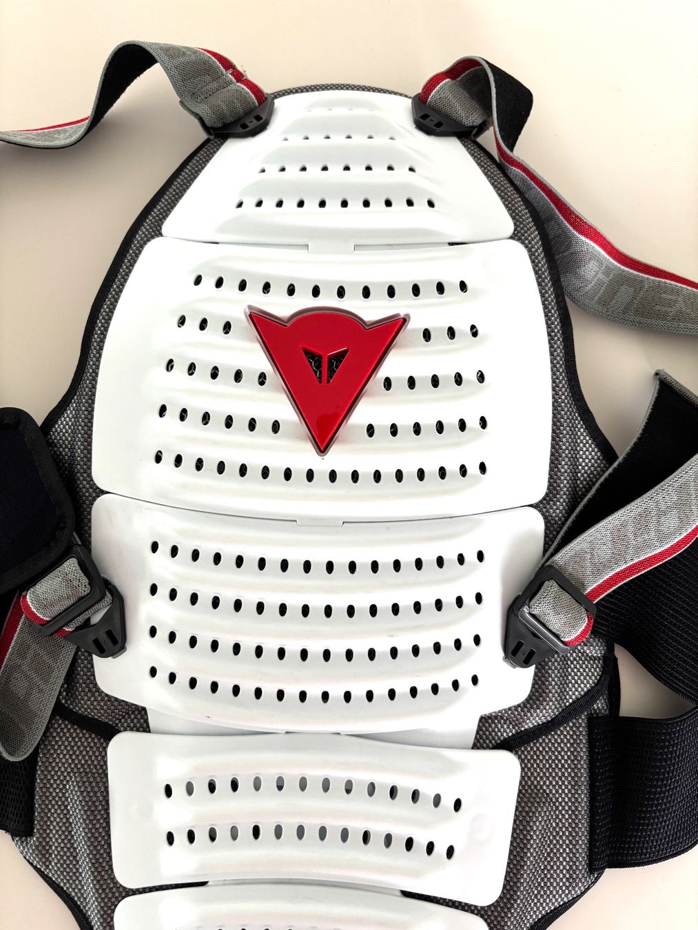 Dainese Schutz & Schoner: Dainese Mult WAVE.2 Rückenprotektor - EU M - VP 140 – Gebraucht aus Bottmingen von Merkur_Basel 2