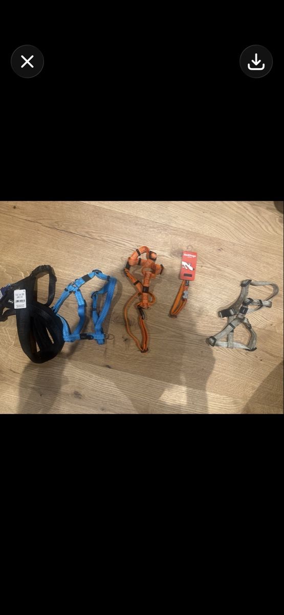 Leine & Halsband: 50 Stück neue Hundegeschierre – Neu (gemäss Beschreibung) aus Trübbach von alder.m