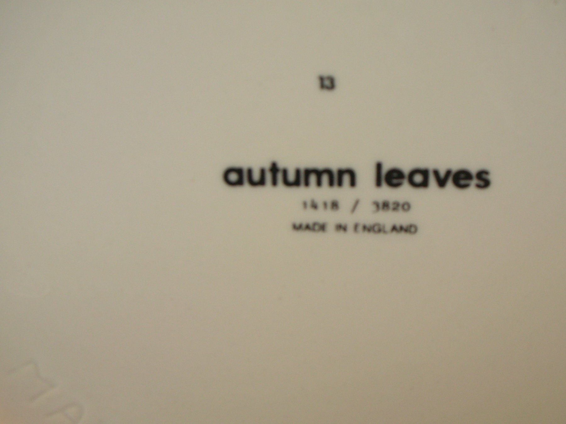 Teiere: Wunderschöne Teekanne "Autumn Leaves" – Usato da Rheinfelden venduto da Javea4 2