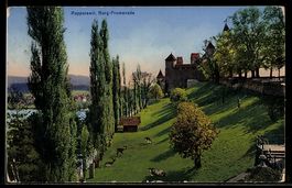 AK Rapperswil, Burg-Promenade