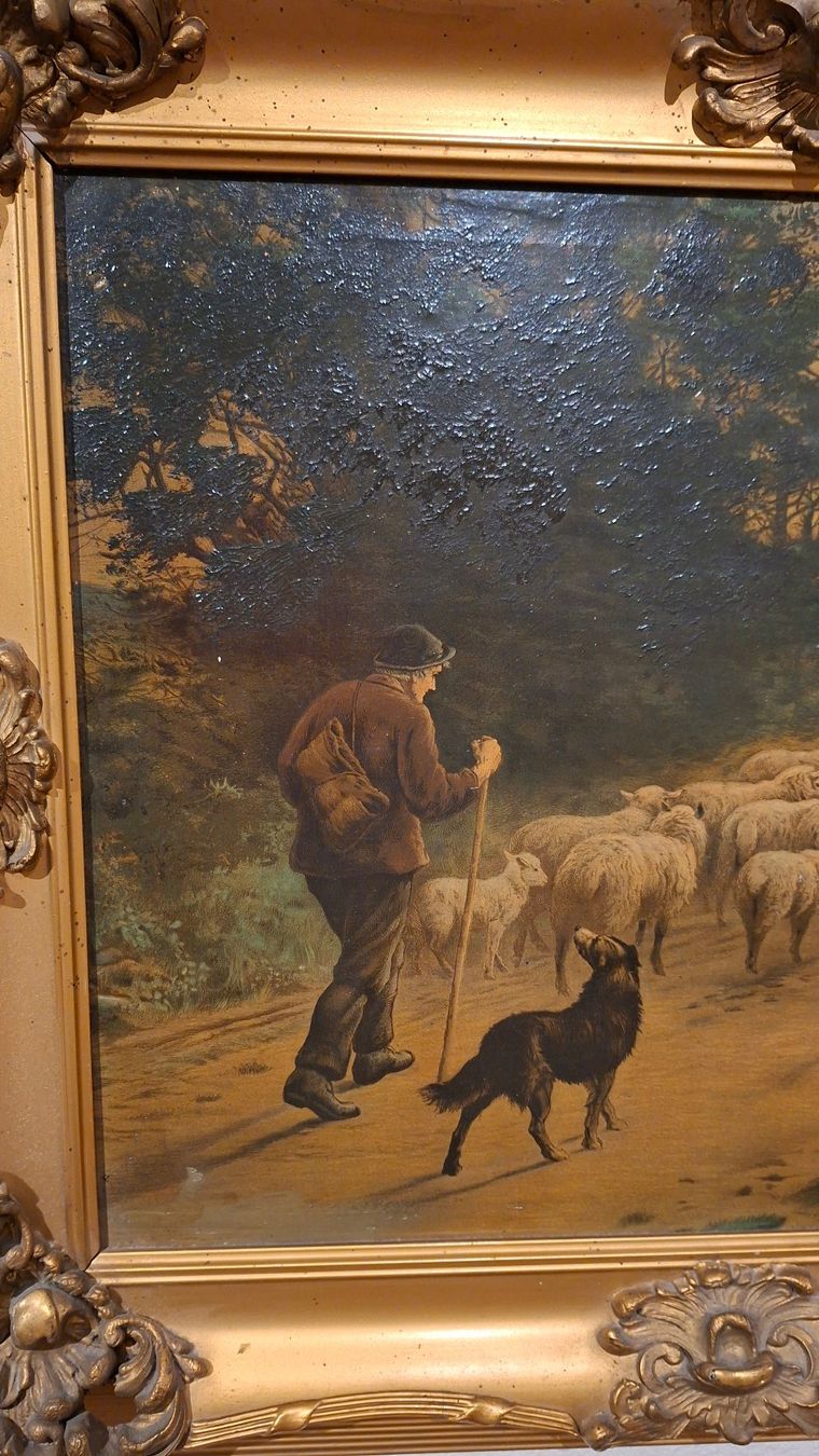 Foto & Immagini: Bild mit Schafherde im goldenen Rahmen – Usato da Weiningen ZH venduto da Annakatharina 2