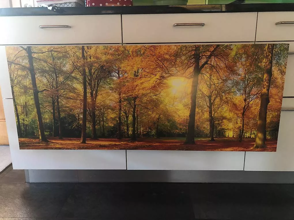 Poster & Bilder: Bild Herbstwald – Gebraucht aus Matten(St.Stephan) von ren_r8tw 2