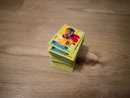 PANINI SET 250+ Bilder