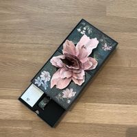 Box, Tomorrowland Life