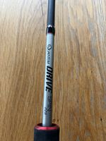 Spinnrute Quantum Drive Spin 228 5-24g guter Zustand