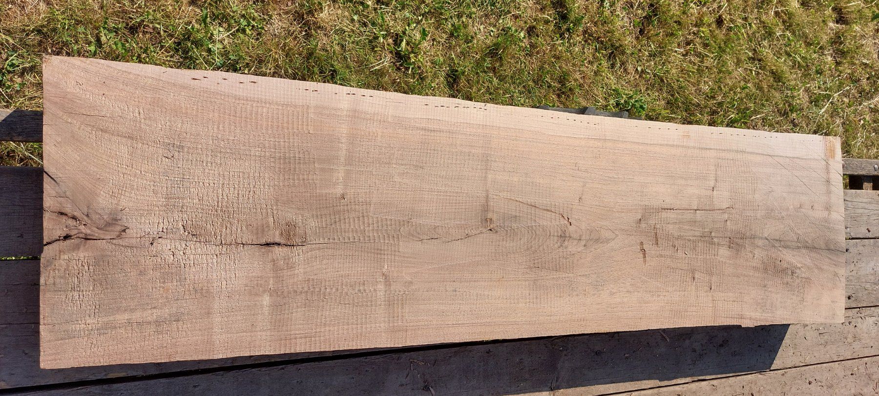 Articoli in legno: Schweizer Nussbaumholz – Difettoso da Giswil venduto da Stocki02 4