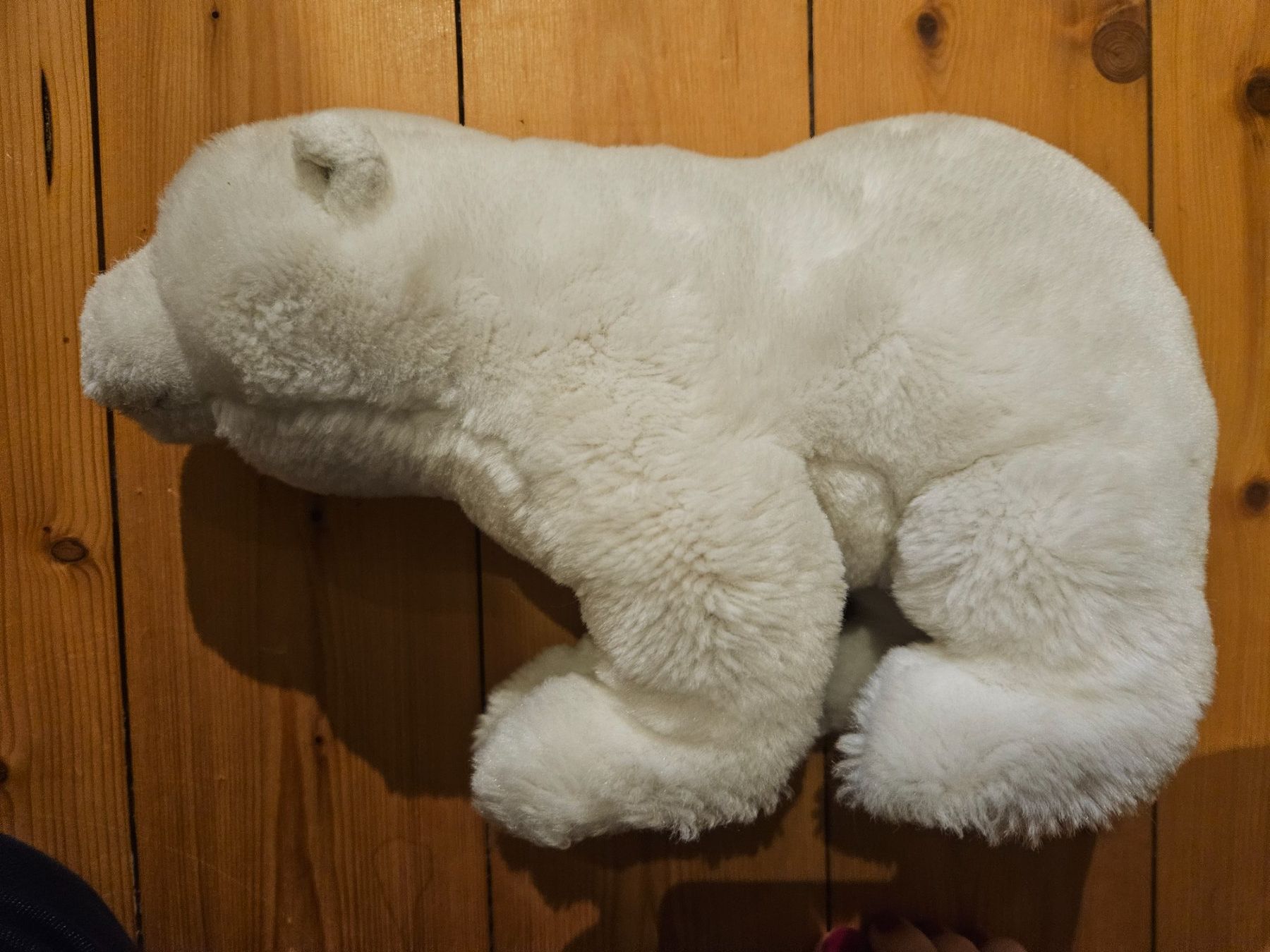 Steiff Spielzeuge: Steiff Plüsch Eisbär – Gebraucht aus Rifferswil von fle_5nqr 1