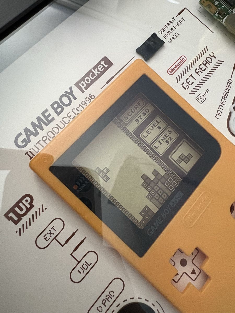 Dipinti: Xreart - Nintendo Game Boy Pocket – Nuovo (secondo la descrizione) da Inwil venduto da Doctor_Roll 1