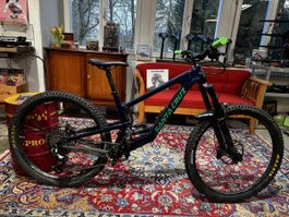 SantaCruz Megatower L ab Service