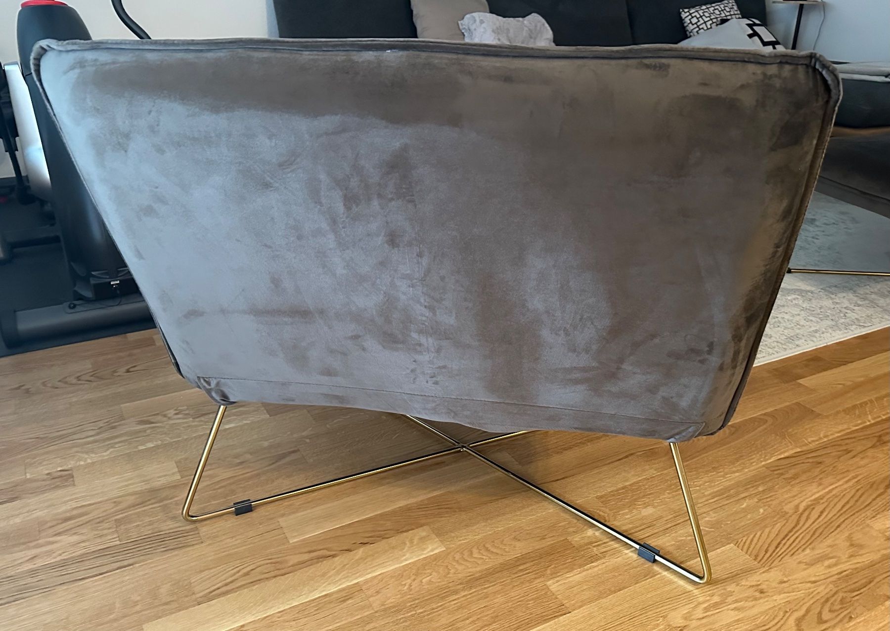 Poltrone: Livetastic SESSEL in Samt grau Neuwertig Sofa Grau – Usato da Zürich venduto da dr.sisi 1