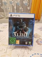 Flint Treasure of Oblivion PS5 Game