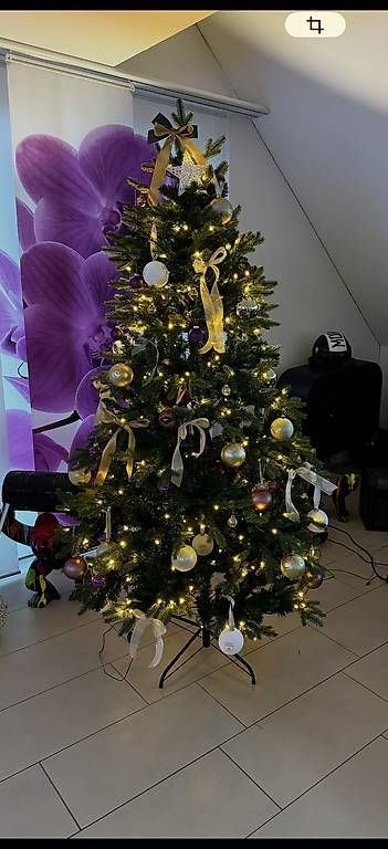 Alle Dekorationen: Weihnachtsbaum 2m mit LED's – Gebraucht aus Embrach von Salesa_007