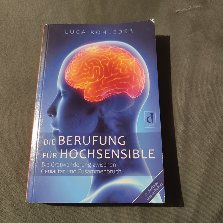 Die Berufung für Hochsensible: Wie feinfühlige Menschen besser loslassen, ihr Urvertrauen stärken und berufliche Erfüllung finden können.: Die Gratwanderung zwischen Genialität und Zusammenbruch main image 1
