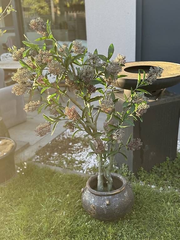 Tutte le decorazioni: Hochwertiger Kunstbaum | NP 359 CHF – Usato da Schmerikon venduto da dan_b5dn