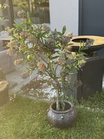 Hochwertiger Kunstbaum | NP 359 CHF