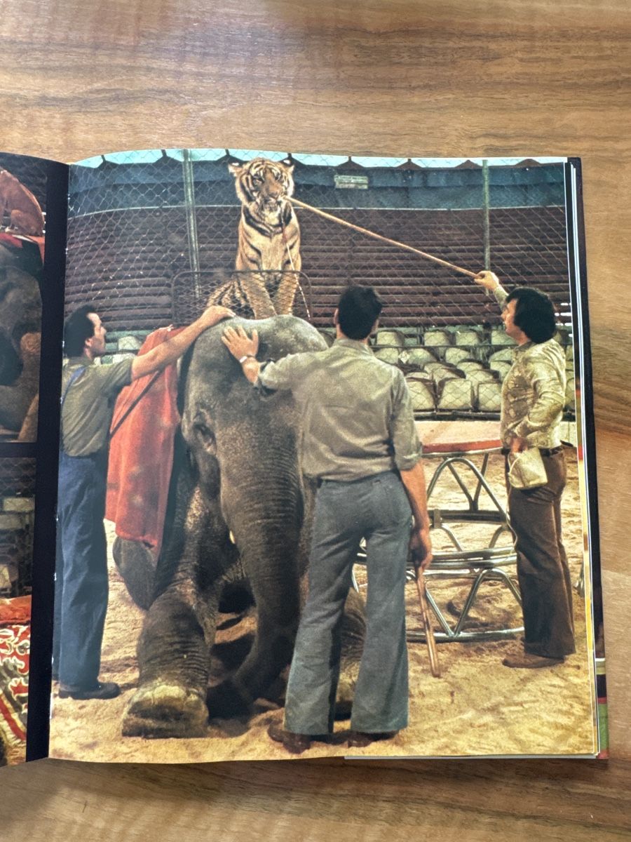 Libri: Zirkus - Buch – Usato da Emmenbrücke venduto da Florentina27 5