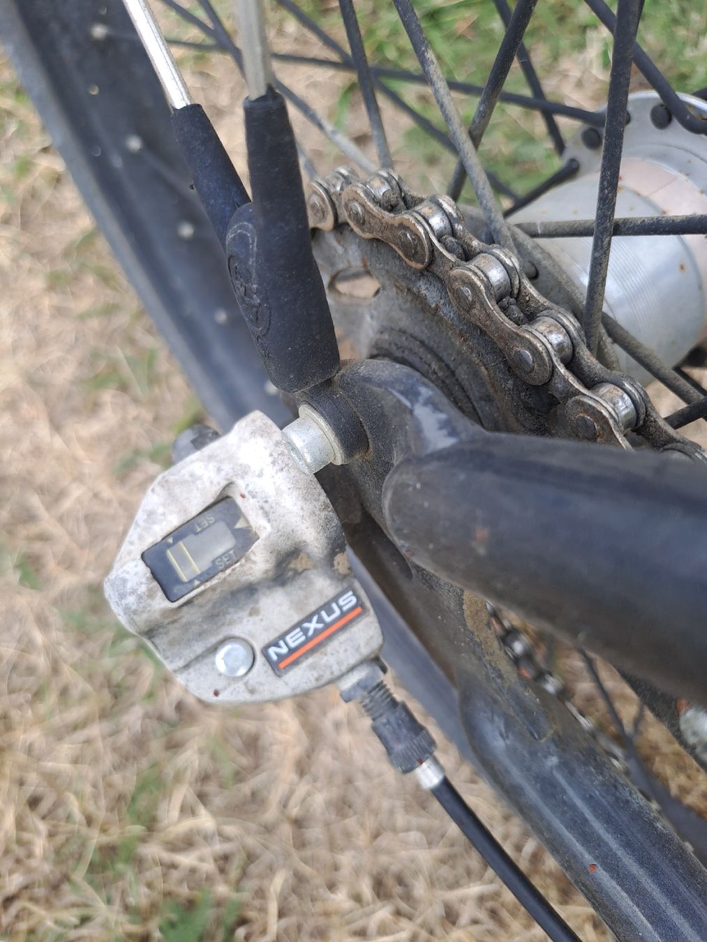 Biciclette: Cruiser / Velo Felt – Usato da Meinisberg venduto da estahawai 4