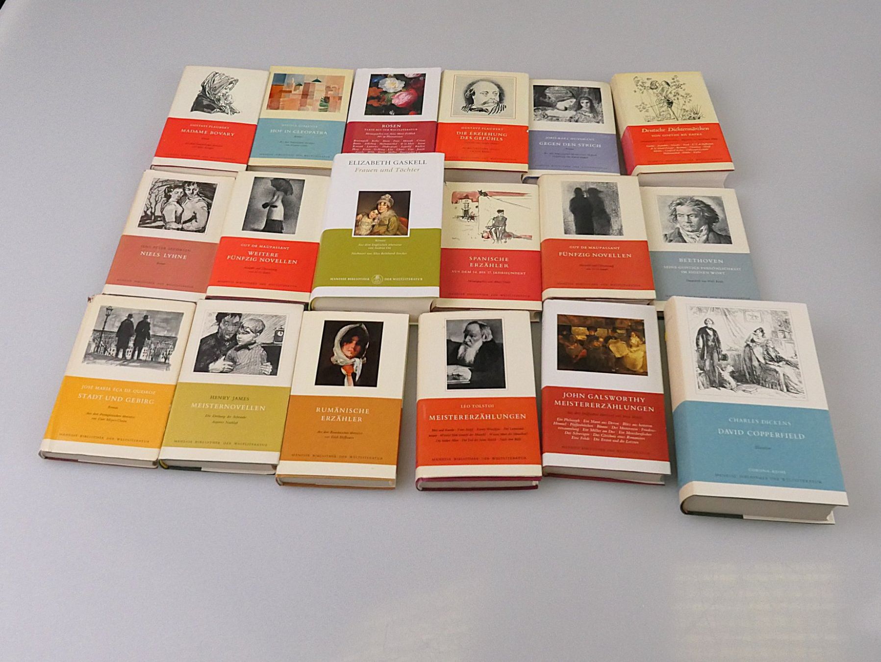 Libri: MANESSE Bücher Sammlung ( 50 Stk.) – Usato da Volketswil venduto da brockipfannenstil