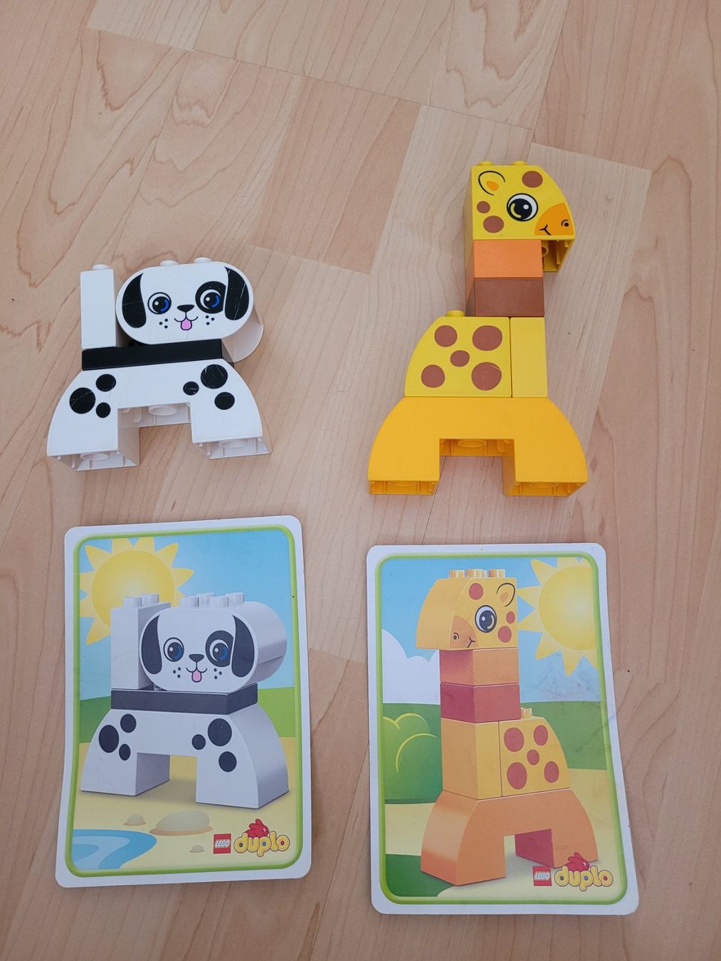 Lego Spielzeuge: Duplo Tierbauklötze + Buch – Gebraucht aus Uster von Gabi64 1
