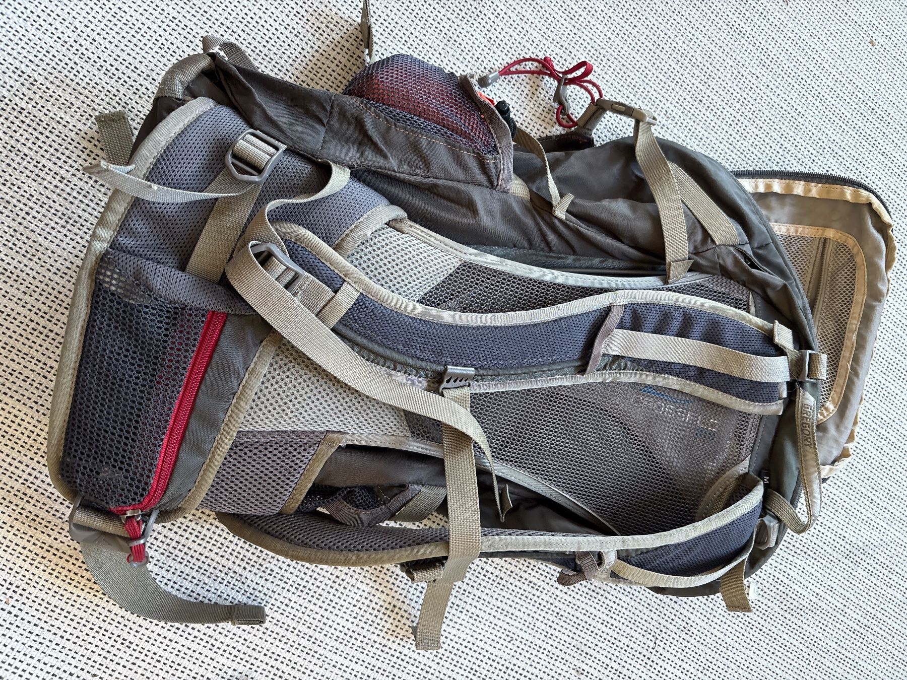 Gregory Zaini: Gregory Wander 30 Wanderrucksack – Usato da Cham venduto da syl_fs9s 2