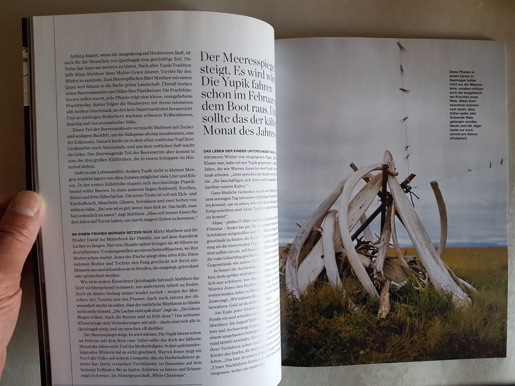 Zeitschriften & Magazine: Zeitschrift National Geographic Special 4/2019 – Neu (gemäss Beschreibung) aus Walterswil BE von Lonitti 2
