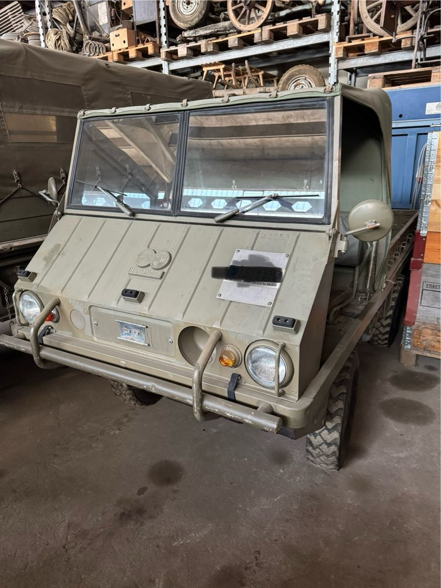 Steyr-Puch Veicoli commerciali: Haflinger – Usato da Campascio venduto da zampa53